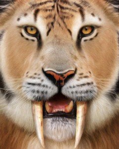 sabre tooth tiger