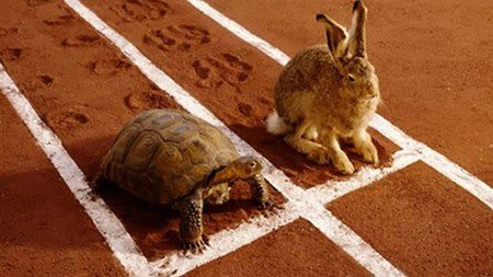 hare and the tortoise race
